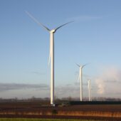 Infomarkt Duikeldam
